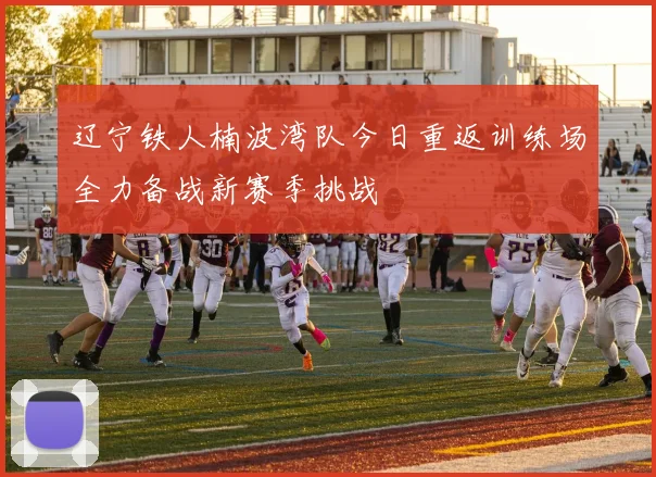 辽宁铁人楠波湾队今日重返训练场全力备战新赛季挑战